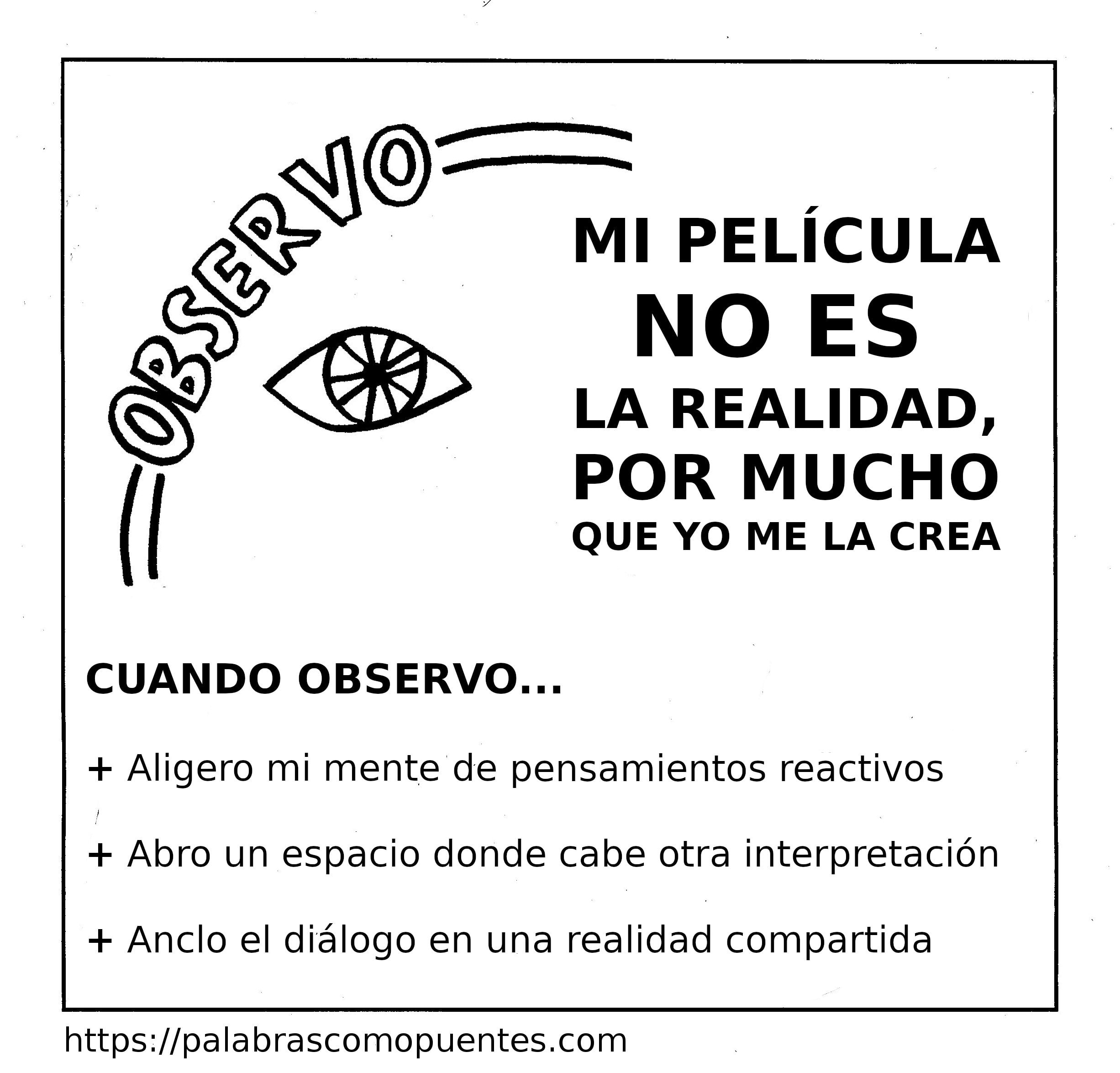 Gráfico en blanco y negro con la palabra "Observo" y una ilustración de un ojo. El texto explica que las percepciones personales no son la realidad y enumera los beneficios de la observación.