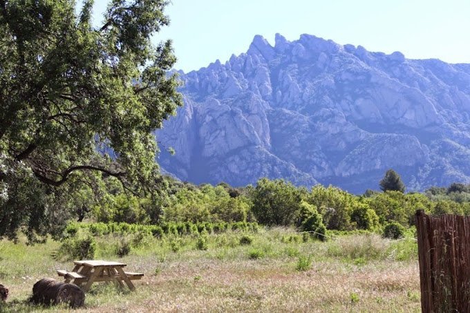 Una mesa de picnic de madera se encuentra en un campo cubierto de hierba y árboles, bajo un cielo despejado, con montañas rocosas al fondo.