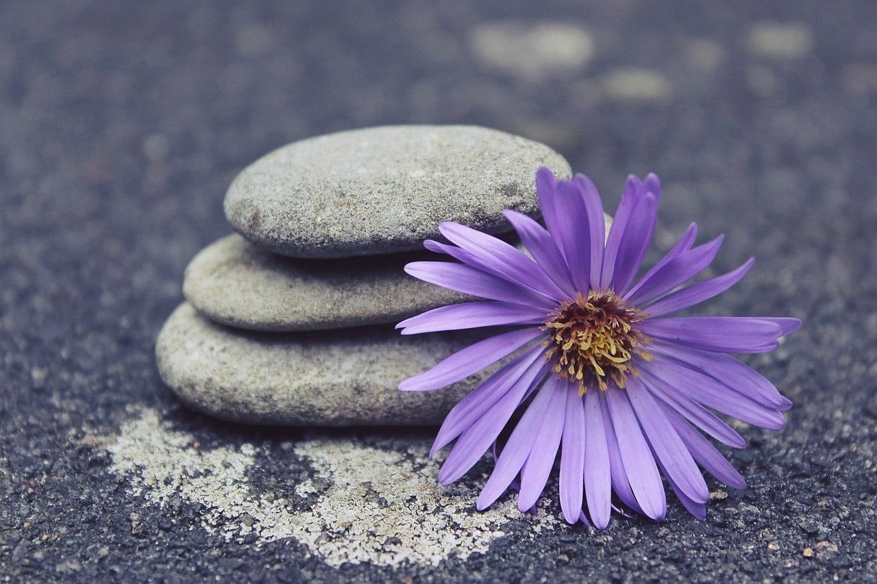 Tres piedras grises lisas apiladas unas sobre otras con una flor de margarita morada apoyada en ellas, colocadas sobre una superficie áspera y oscura.