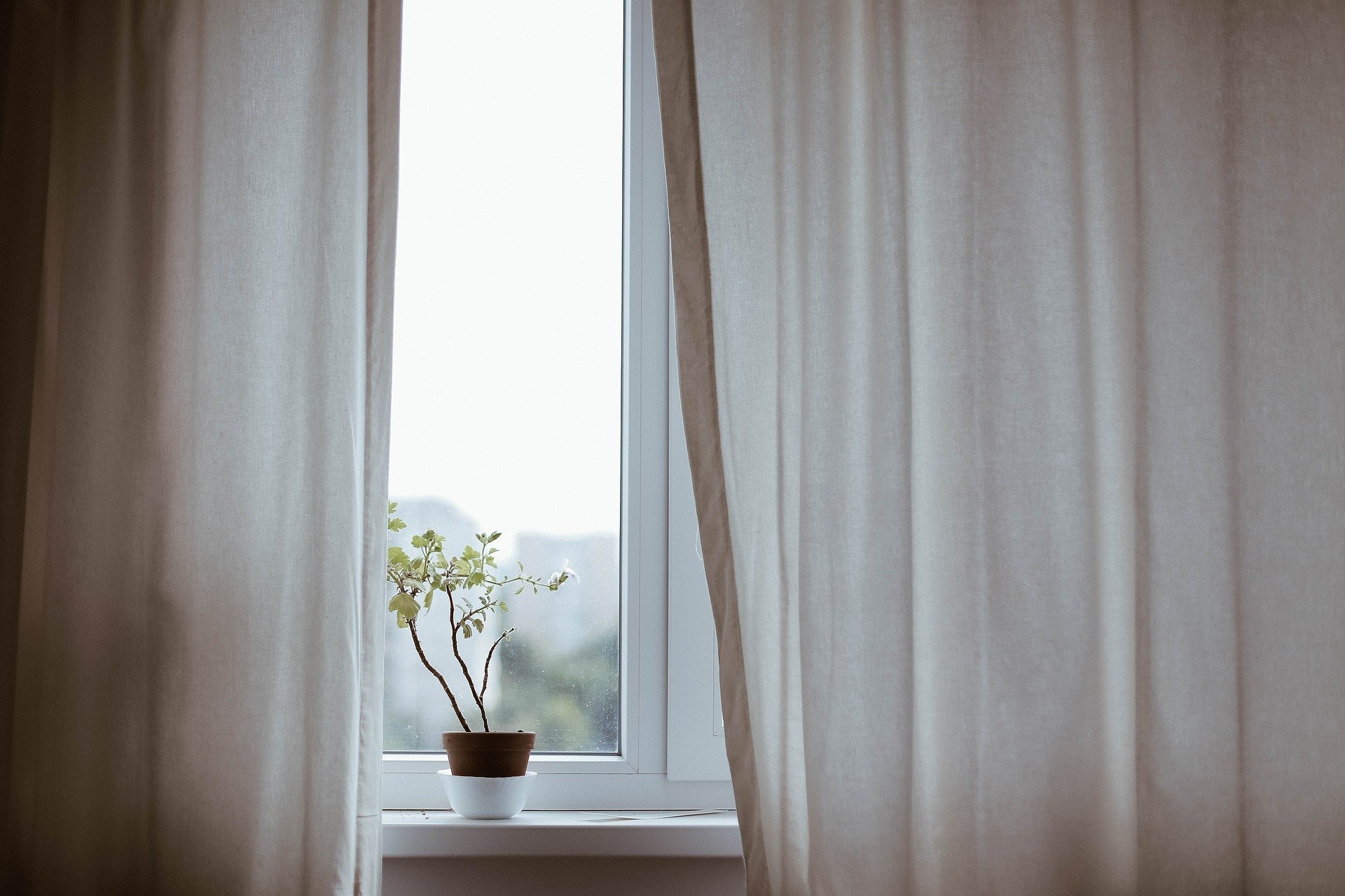 Una pequeña maceta reposa en el alféizar de la ventana, entre dos cortinas beige, por la que entra una suave luz diurna.
